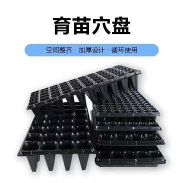加厚加深高脚林木育苗盘草莓百香果扦插沉香药材种姜专用盆穴