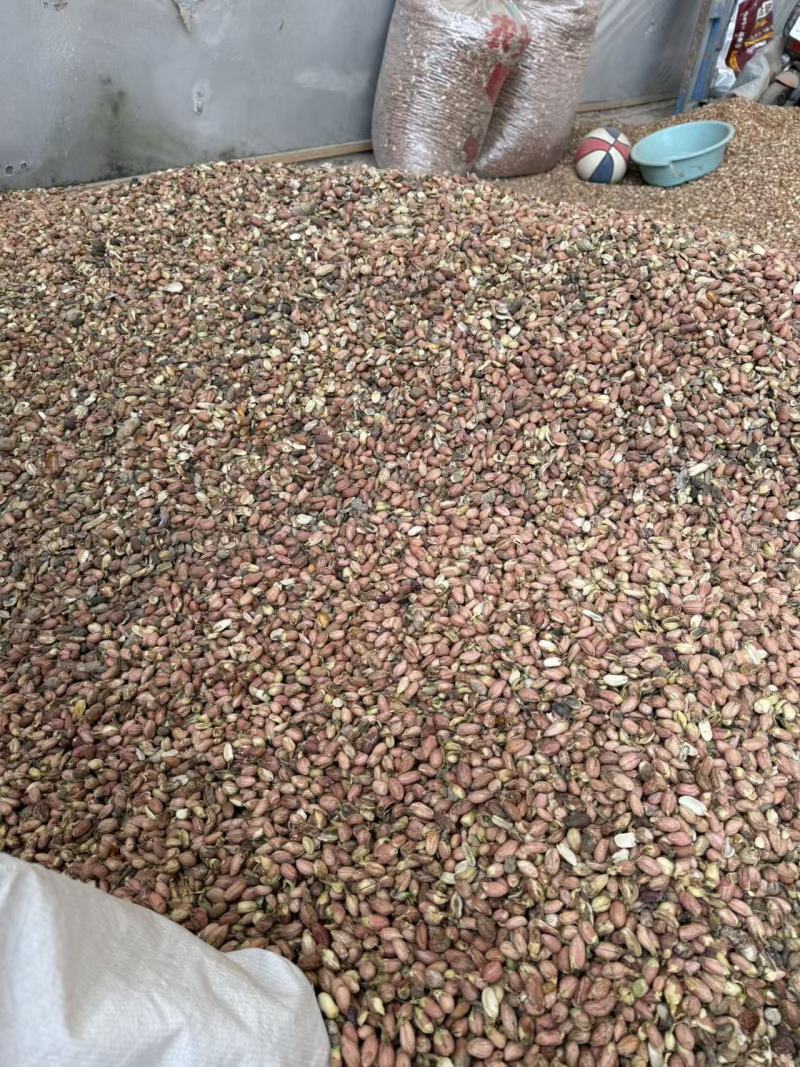 二级花生米
