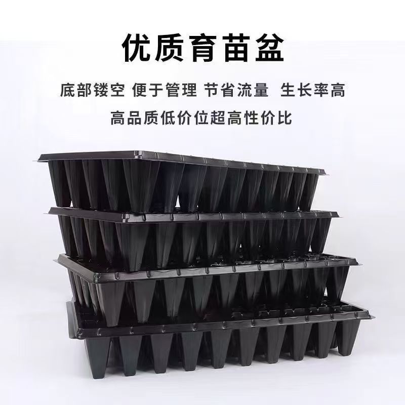 草莓穴盘林木百香果蔬菜育苗盘高脚加深林木育苗