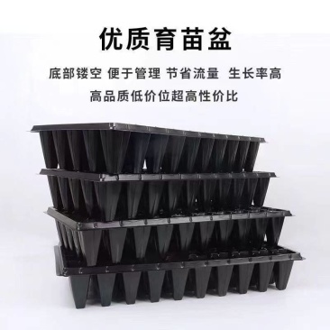 草莓穴盘林木百香果蔬菜育苗盘高脚加深林木育苗