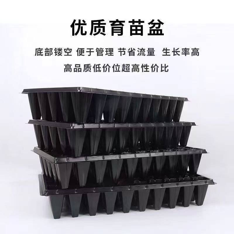 草莓穴盘林木百香果蔬菜育苗盘高脚加深林木育苗