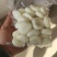 精品去皮马蹄，真空包装，支持代发，咨询优惠多多
