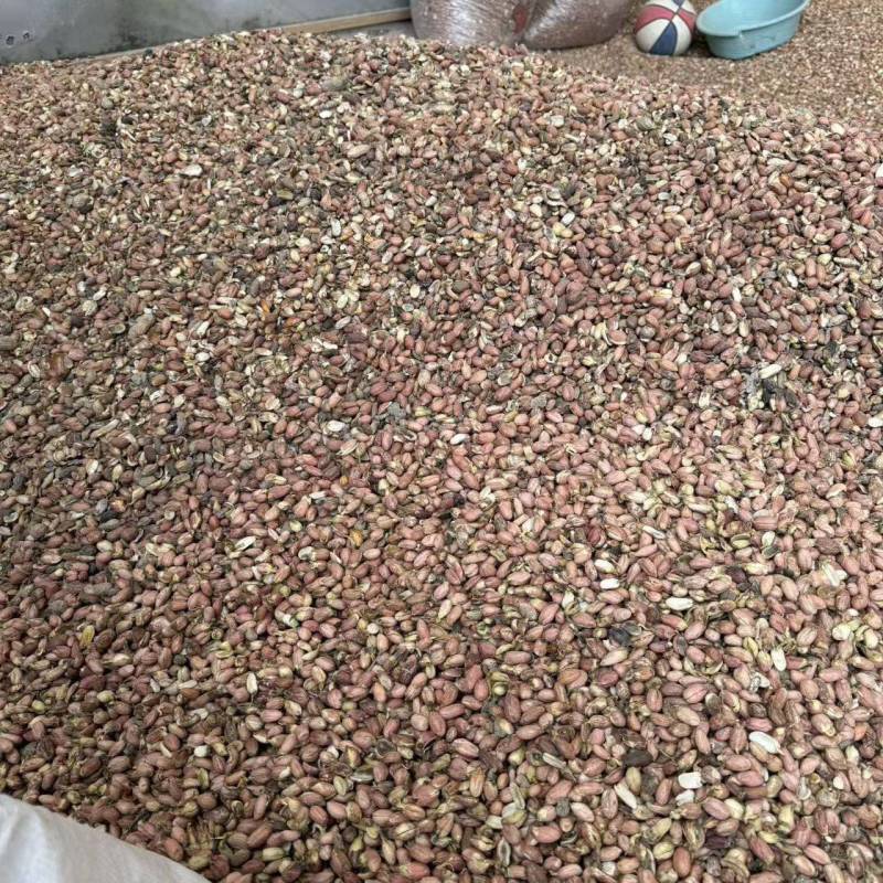二级花生米
