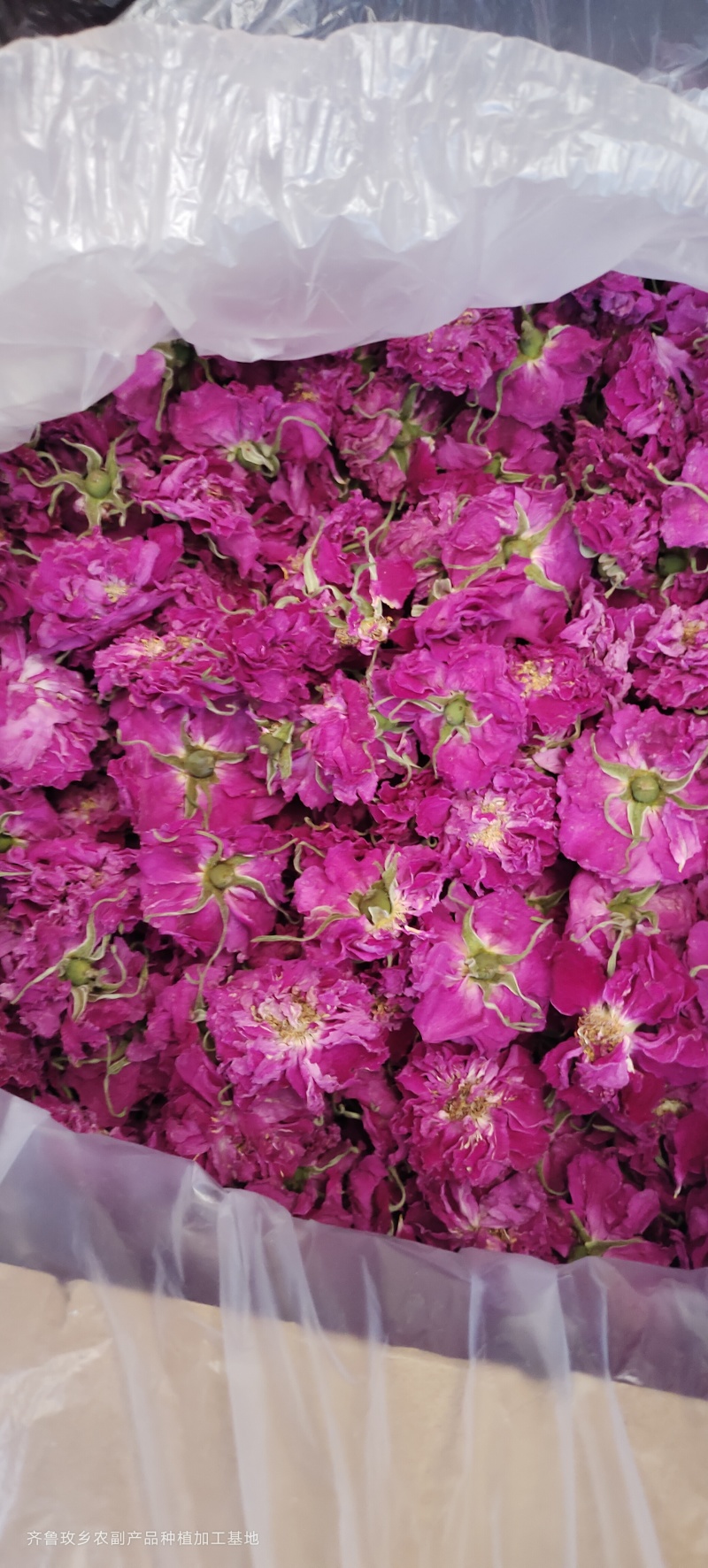 玫瑰花