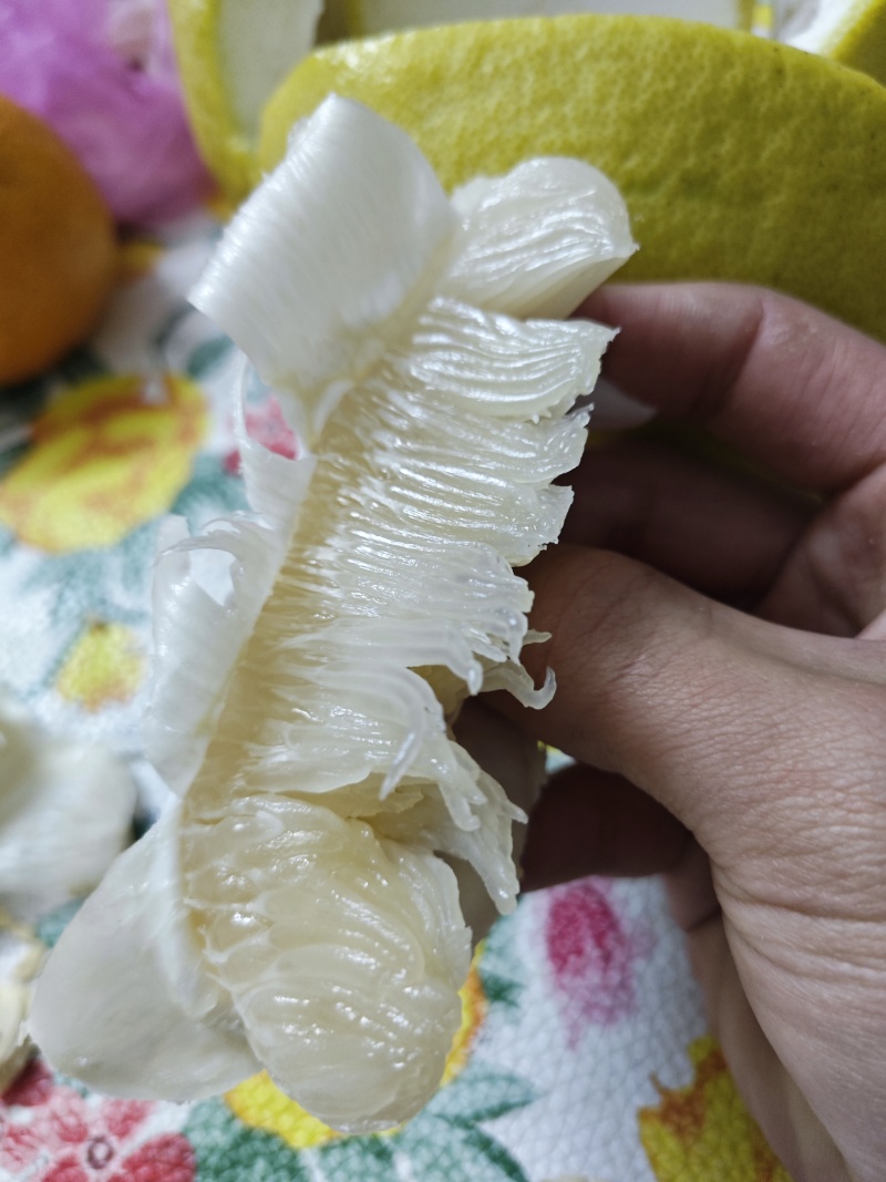 沙田柚，自家种植不打药，纯甜，平均1.8斤一欢迎采购老板