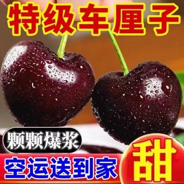 3J大果车厘子广州发货，一件代发坏果包赔