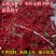 新采山桐子种子毛叶山桐子种子油葡萄种籽水冬瓜种子