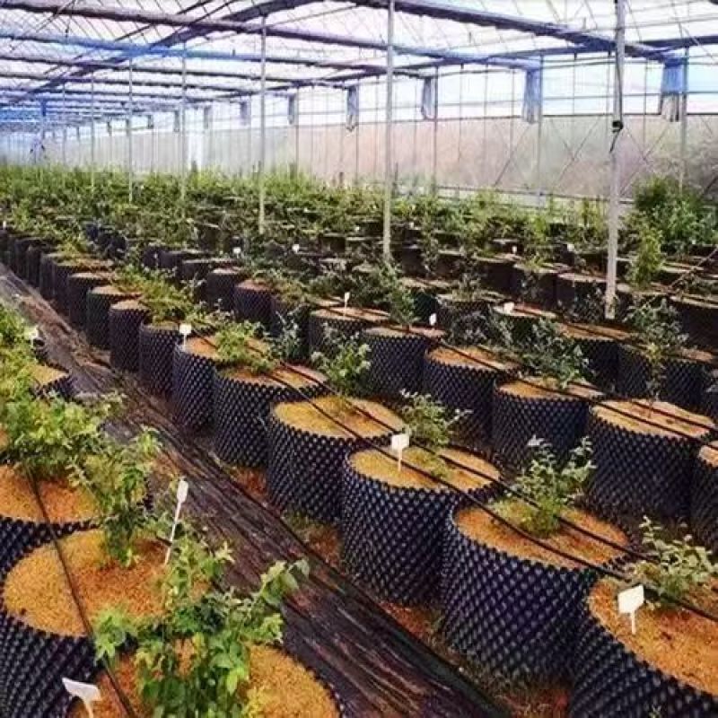 控根器种树围板植树适用排水阻根控根板花盆加高育苗容器