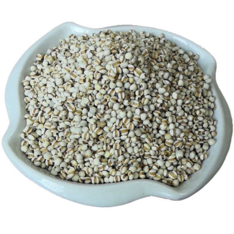 中药材/薏苡仁/薏米仁/贵州货/薏仁米中药材颗粒饱满批发