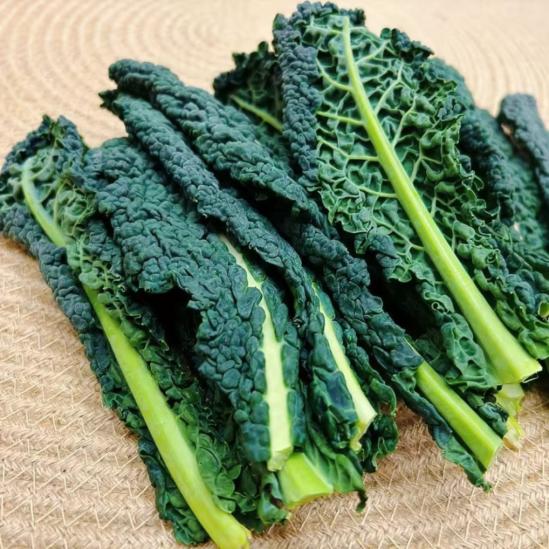 皱叶羽衣甘蓝全年大量有货欢迎采购，量大从优