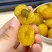 甘草油甘