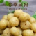 甘草油甘