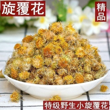 中药材野生旋覆花旋复花金沸花山东陕西贵州货花类批发零售