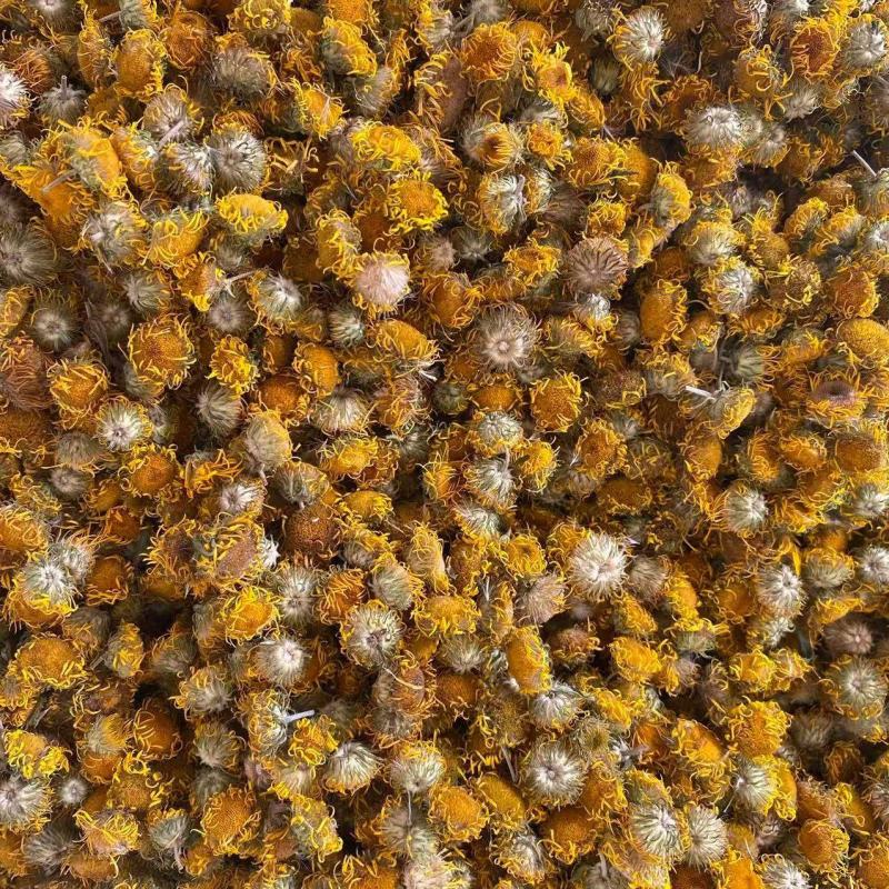 中药材野生旋覆花旋复花金沸花山东陕西贵州货花类批发零售