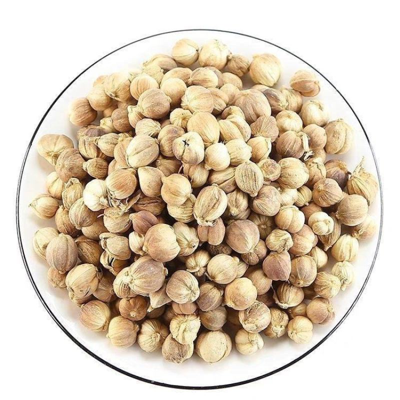 白豆蔻中药材白豆蔻豆蔻香料白豆蔻康养斋中药材