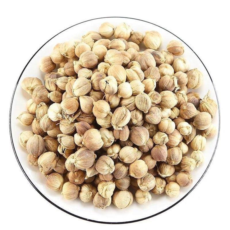 白豆蔻中药材白豆蔻豆蔻香料白豆蔻康养斋中药材