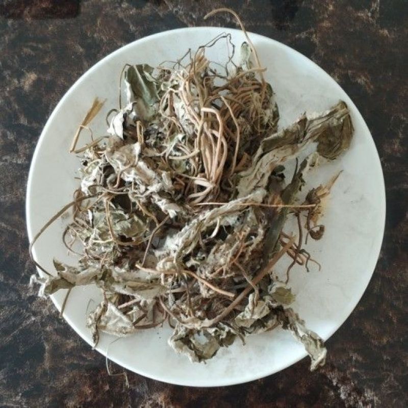 兔儿风中草药云南兔耳风兔儿风兔耳一支香兔耳草干货