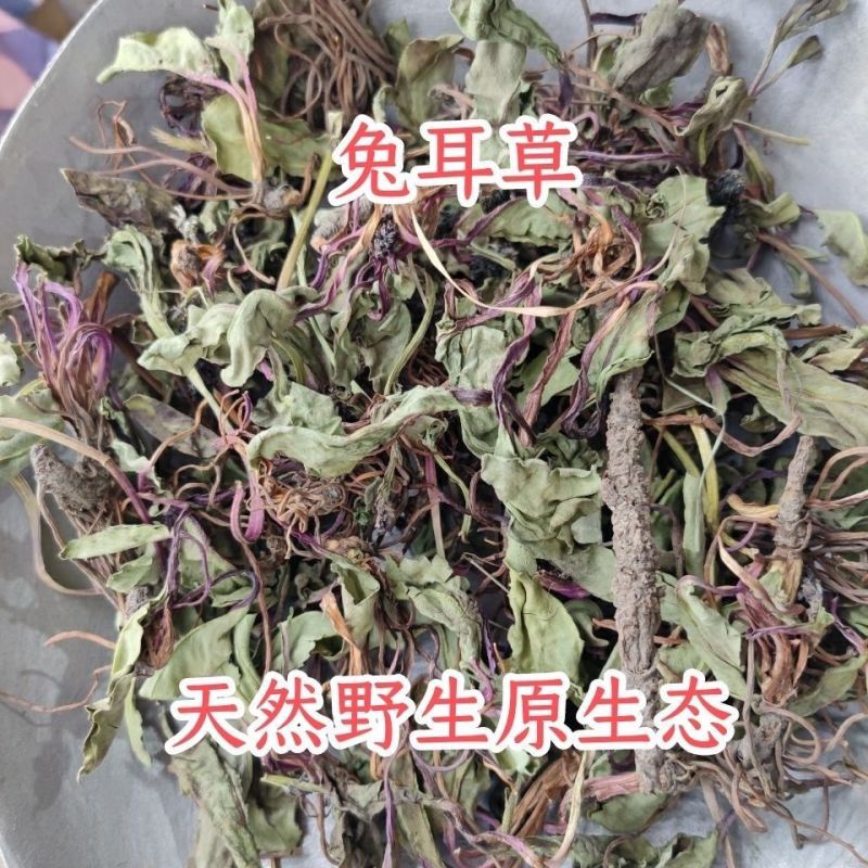 兔儿风中草药云南兔耳风兔儿风兔耳一支香兔耳草干货