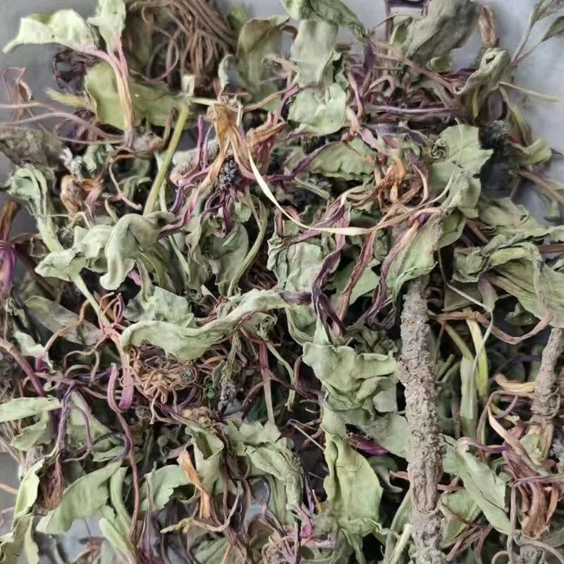 兔儿风中草药云南兔耳风兔儿风兔耳一支香兔耳草干货