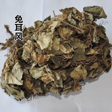 兔儿风中草药云南兔耳风兔儿风兔耳一支香兔耳草干货