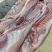 猪肉