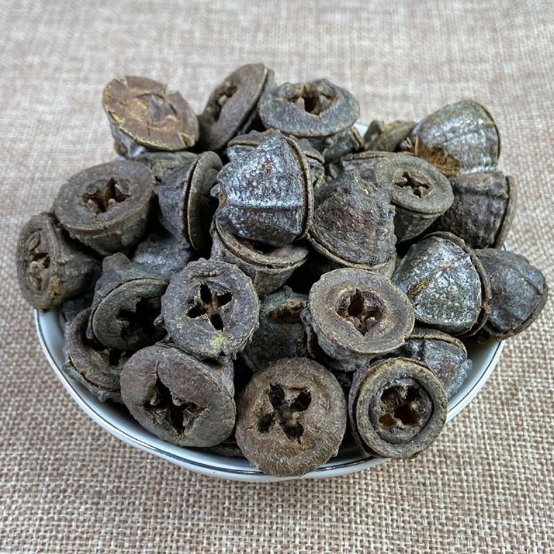 桉树果中药材冷背中药材一口钟正品中药材专营