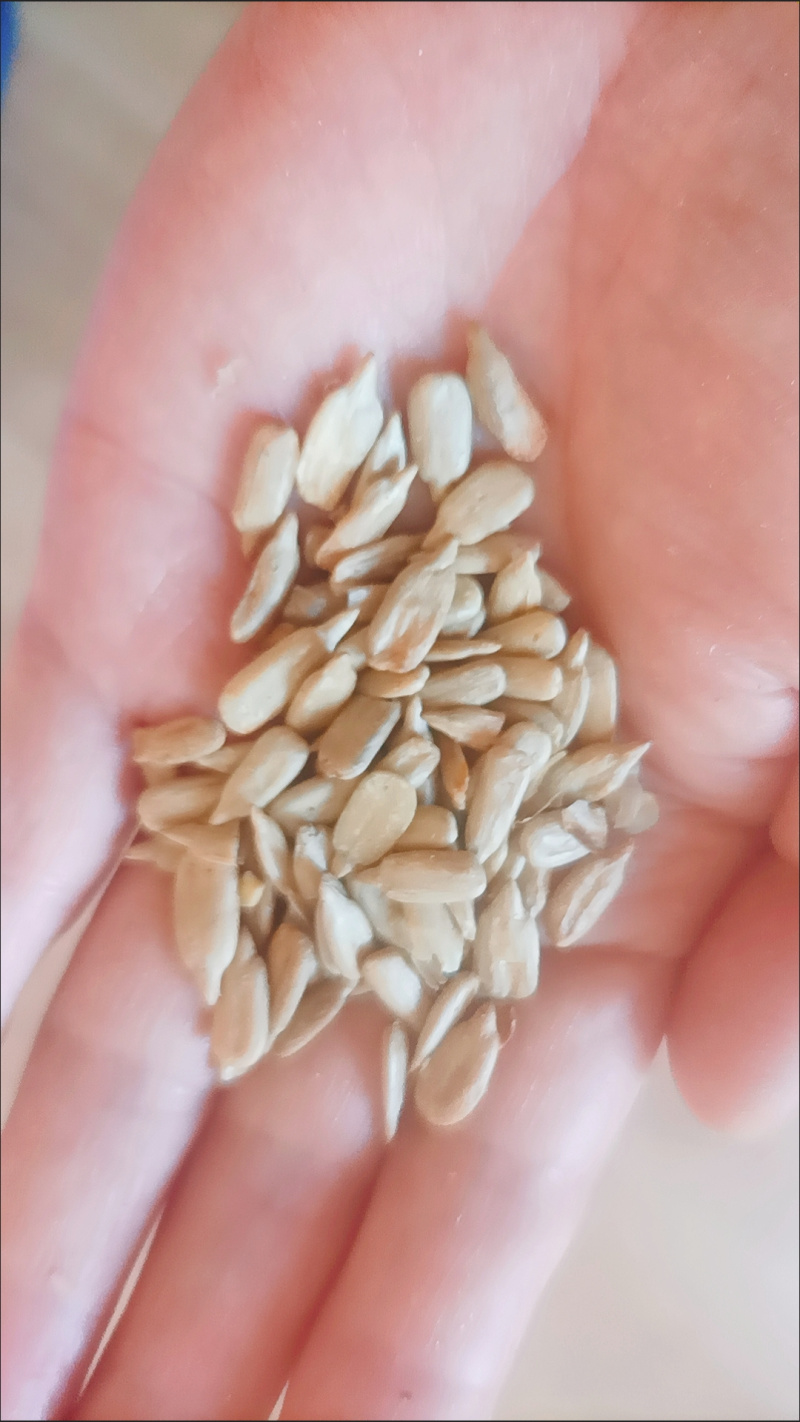 炒熟瓜子批发散装葵花籽原味熟瓜子仁即食烘焙