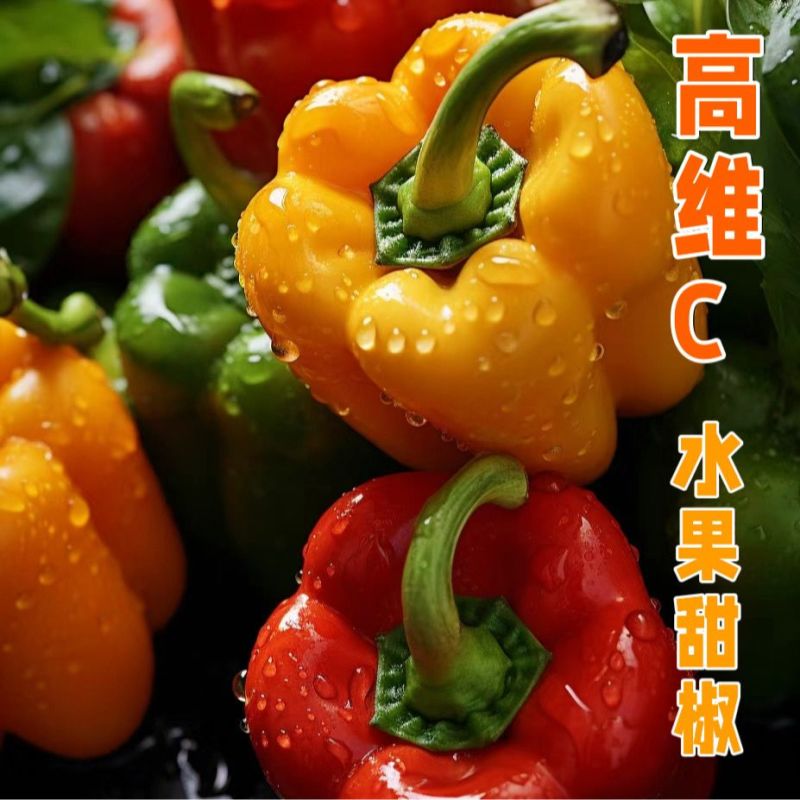 寿光彩甜椒当季生吃级脆甜彩椒产地直供批发