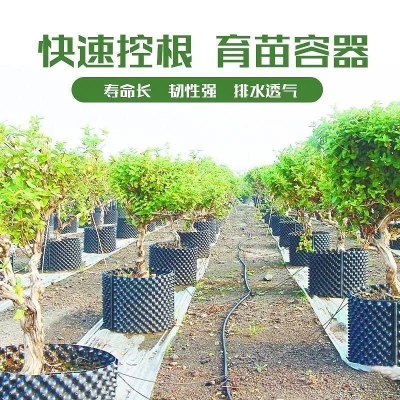 控根器种树围板植树适用排水阻根控根板花盆加高育苗容器