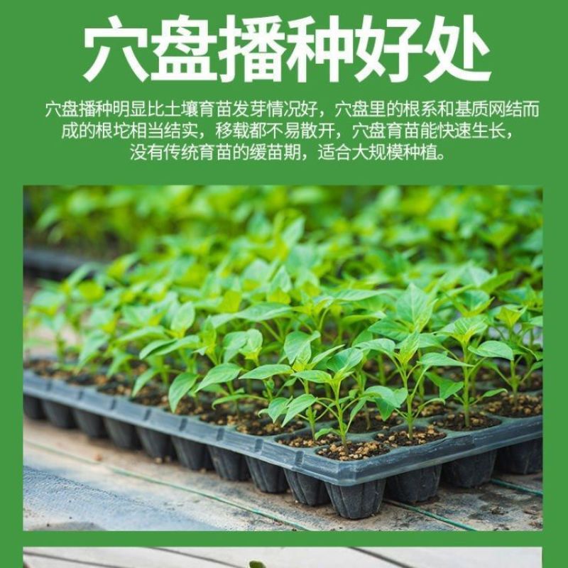 育苗盘穴盘整件批发加厚育苗盆供电商微商辣椒西红柿蔬菜培育