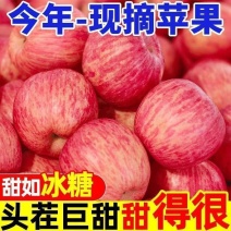红富士苹果电商供货一件代发可对接达人