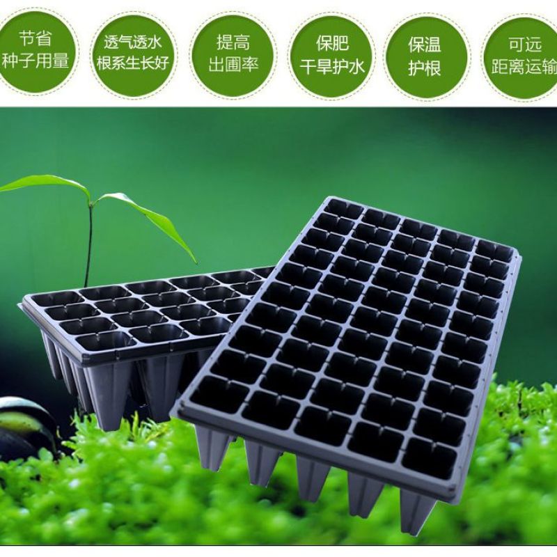 加厚加深高脚林木育苗盘草莓百香果扦插沉香药材种姜专用盆穴