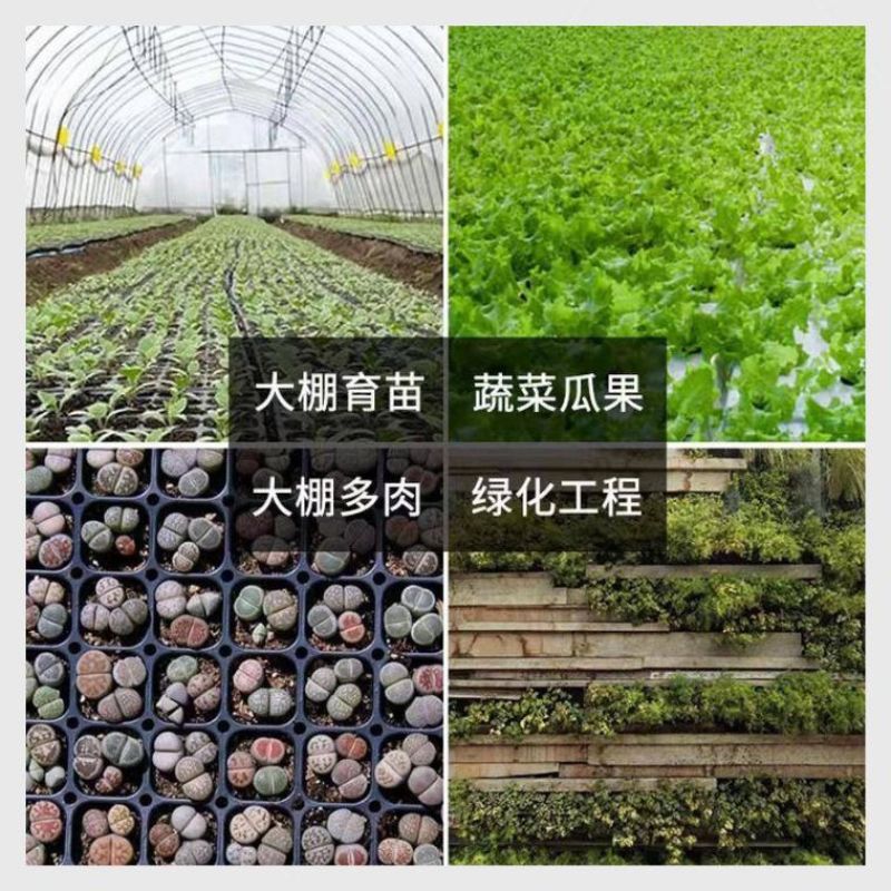 加厚加深高脚林木育苗盘草莓百香果扦插沉香药材种姜专用盆穴