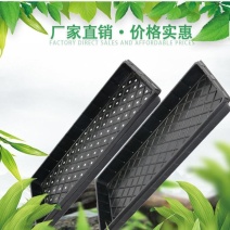 育苗盘穴盘平盘整件批发加厚育苗盆营养钵辣椒西红柿蔬菜培育