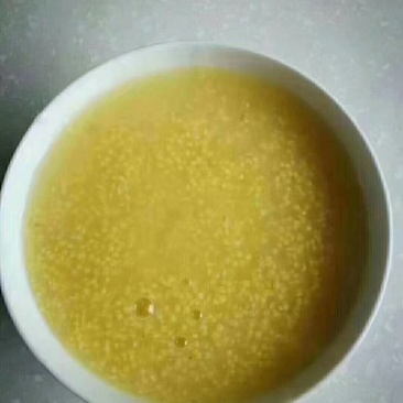 正品辉渠小米