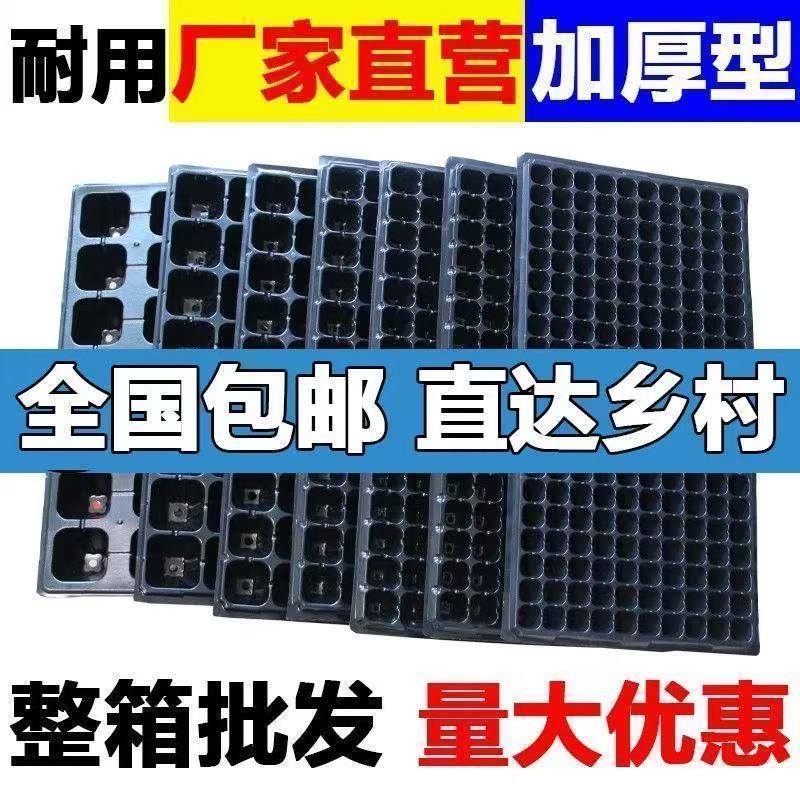加厚加深高脚林木育苗盘草莓百香果扦插沉香药材种姜专用盆穴