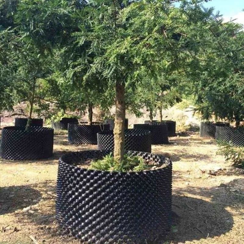 控根器植树专用屋顶花园排水板种菜楼顶绿化蓄水板双面阻根围