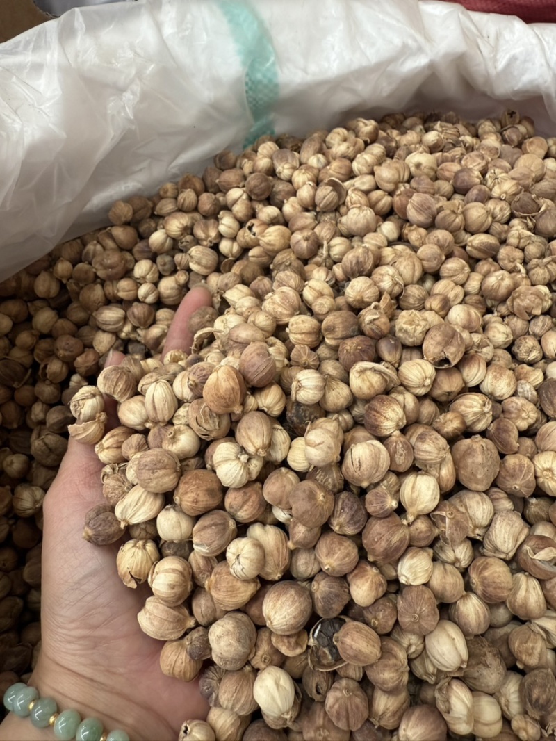 【包邮】印尼进口白蔻粒天然无硫去腥卤味豆蔻药食同源