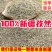 【包邮】新货新疆孜然烧烤专用孜然粒浓香味