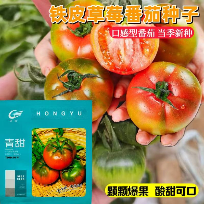青甜草莓番茄种子水果型西红柿铁皮柿子种籽春季高产抗病酸甜