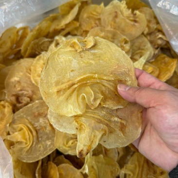 赤嘴鳘鱼胶干货深海天然花胶鱼肚黑鳘胶孕妇月子滋补品