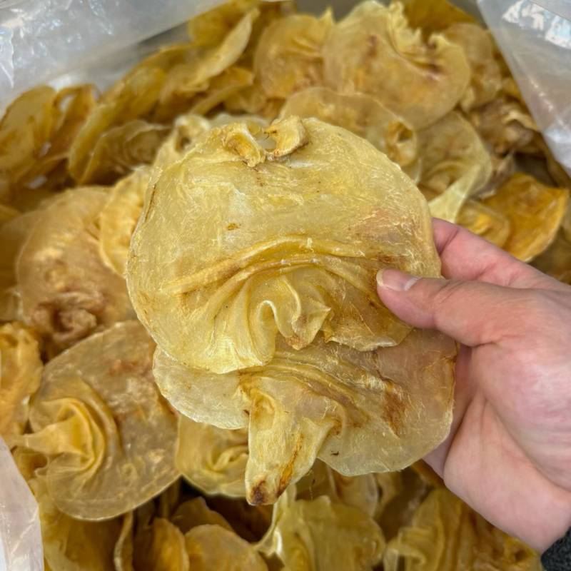 赤嘴鳘鱼胶干货深海天然花胶鱼肚黑鳘胶孕妇月子滋补品