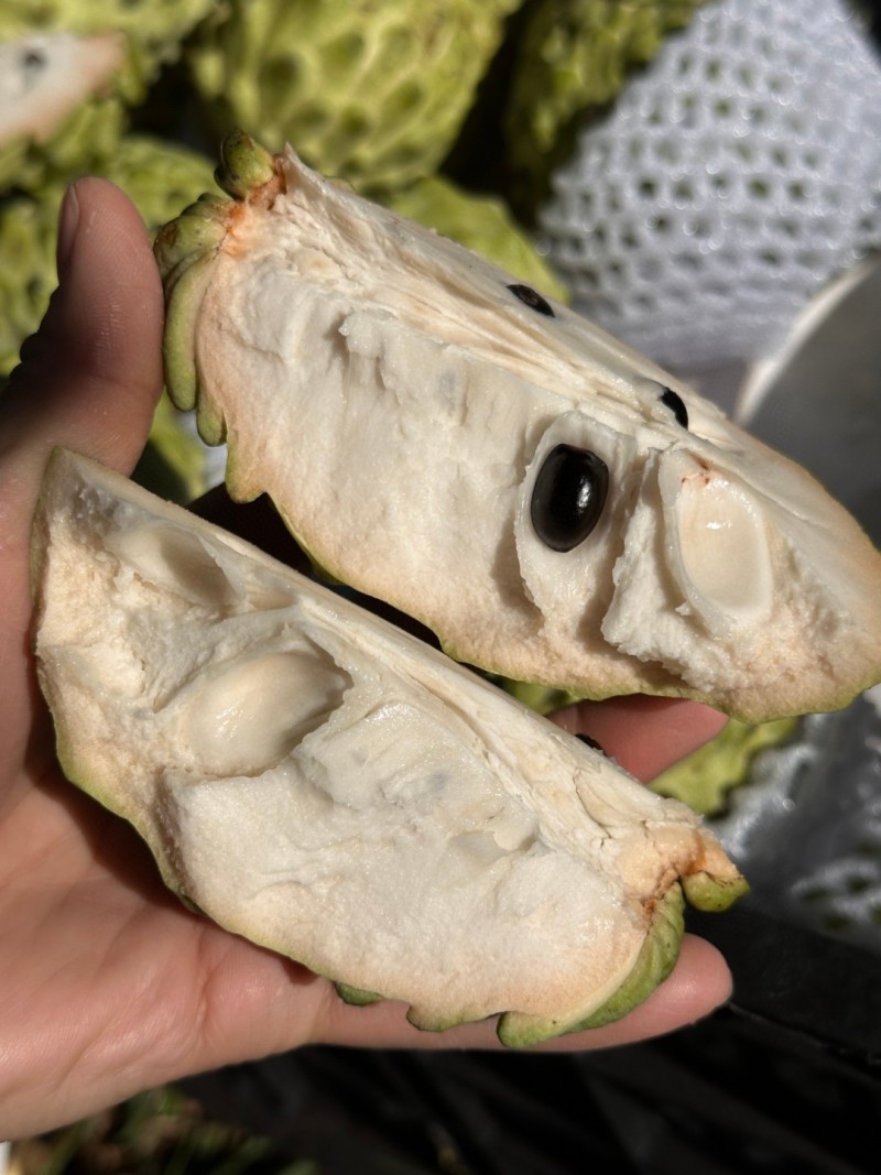 一件代发货云南凤释迦果来自云南的热带水果甜蜜蜜如初恋