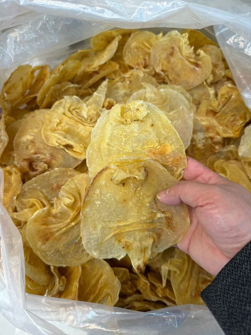 赤嘴鳘鱼胶干货深海天然花胶鱼肚黑鳘胶孕妇月子滋补品