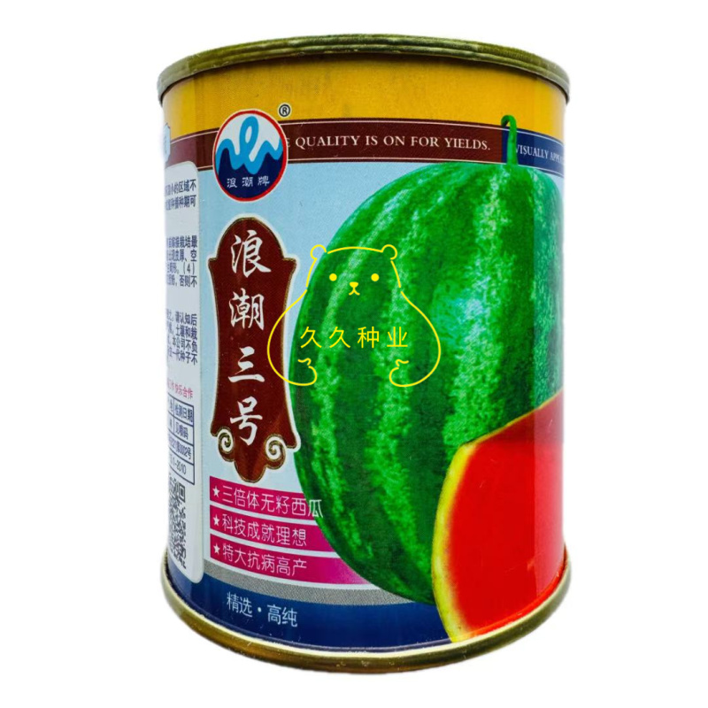 浪潮三号花皮无籽西瓜种子果肉大红一致到边质脆多汁爽口