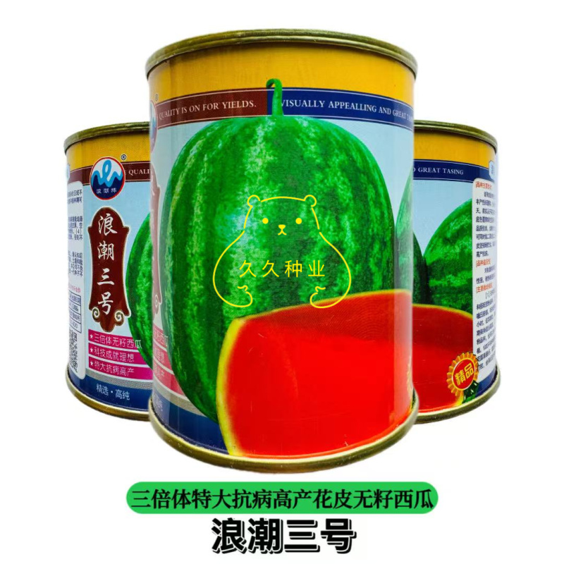 浪潮三号花皮无籽西瓜种子果肉大红一致到边质脆多汁爽口