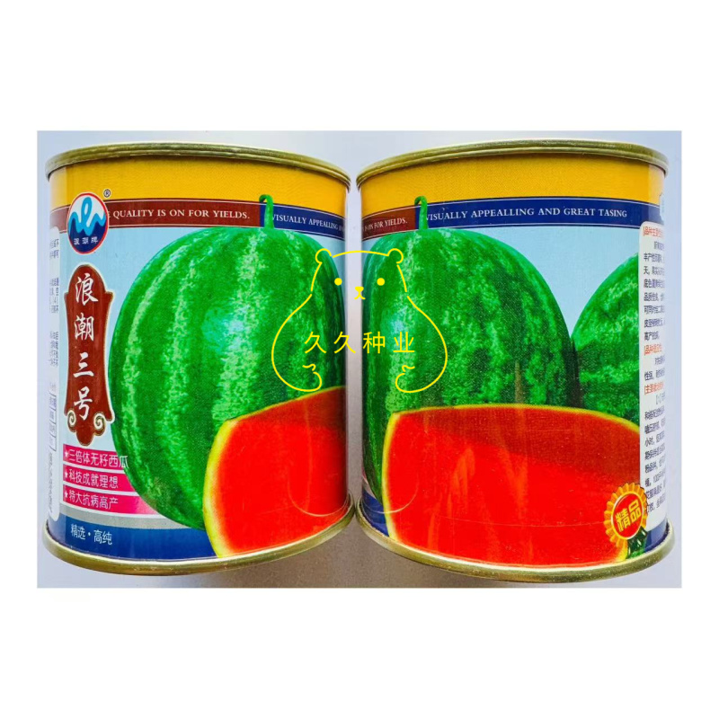 浪潮三号花皮无籽西瓜种子果肉大红一致到边质脆多汁爽口