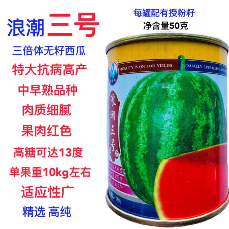 浪潮三号花皮无籽西瓜种子果肉大红一致到边质脆多汁爽口