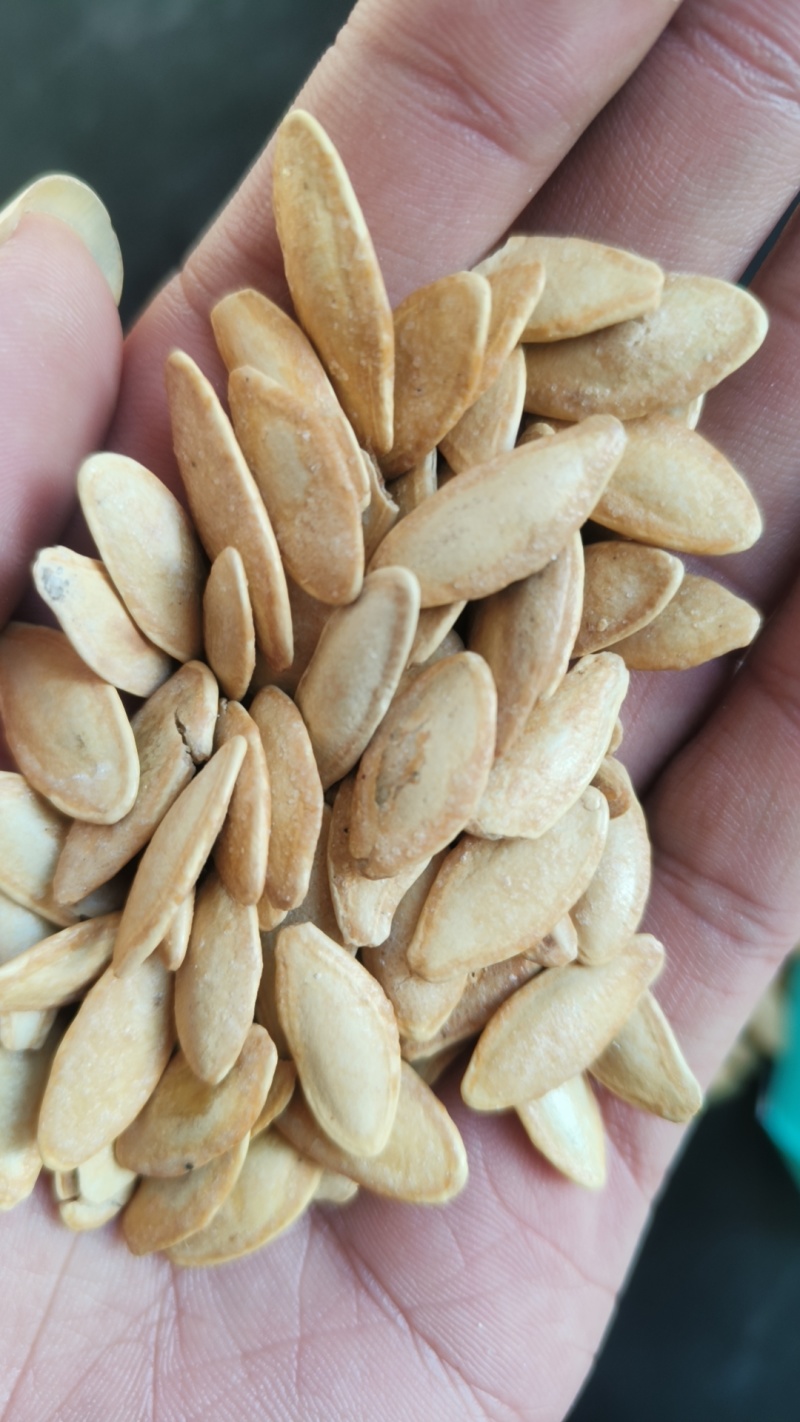 处理一批南瓜子3.5一斤，不包运费，有1.6吨整出有意联