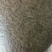处理一批南瓜子3.5一斤，不包运费，有1.6吨整出有意联